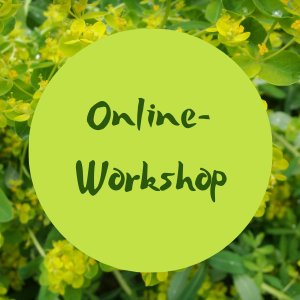 Online-Workshop Garten gestalten